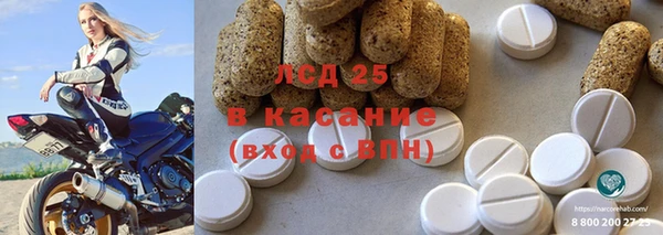 ГАЛЛЮЦИНОГЕННЫЕ ГРИБЫ Балахна